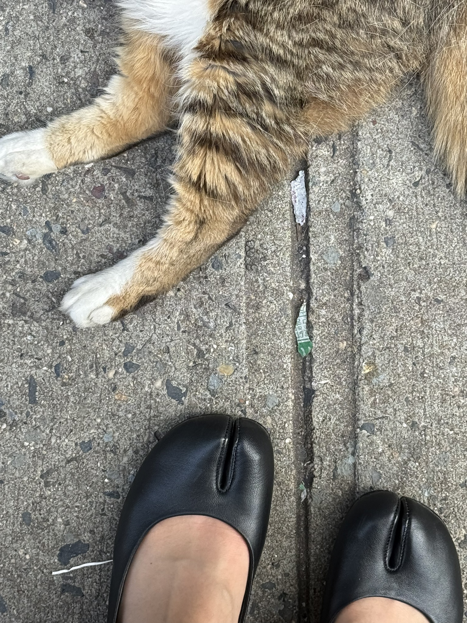 matching