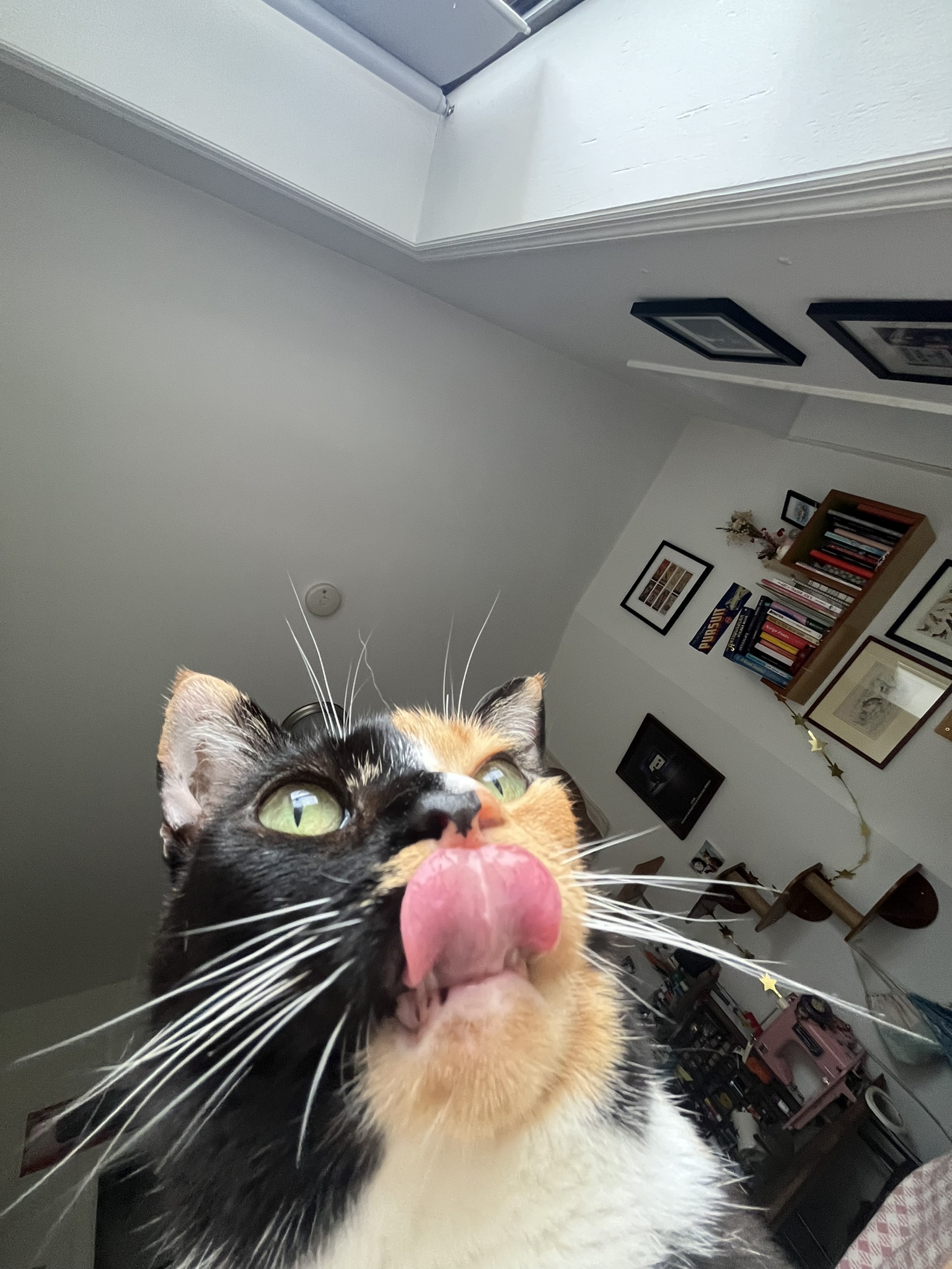 window watcher