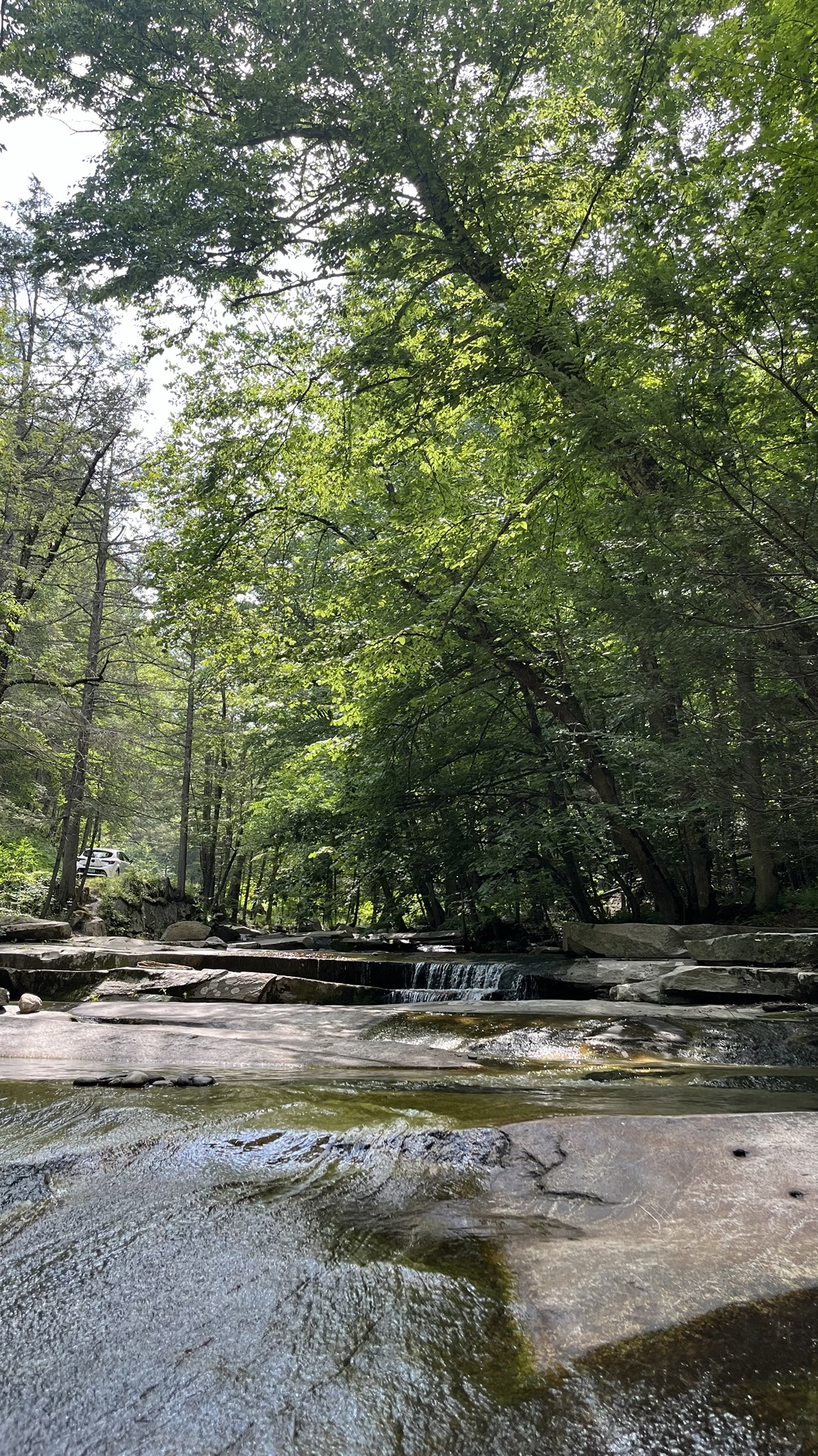 old jelly mill falls