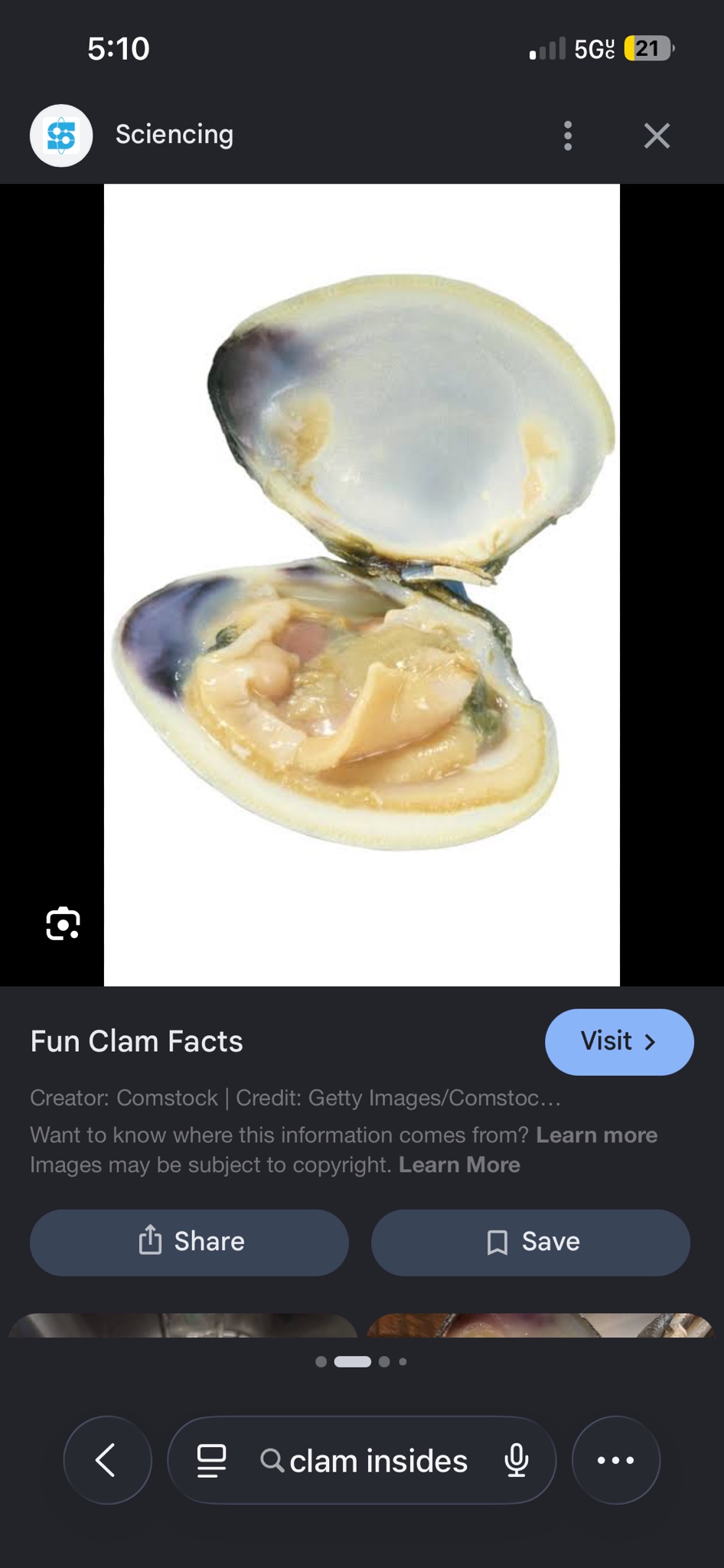 CLAMANTHA