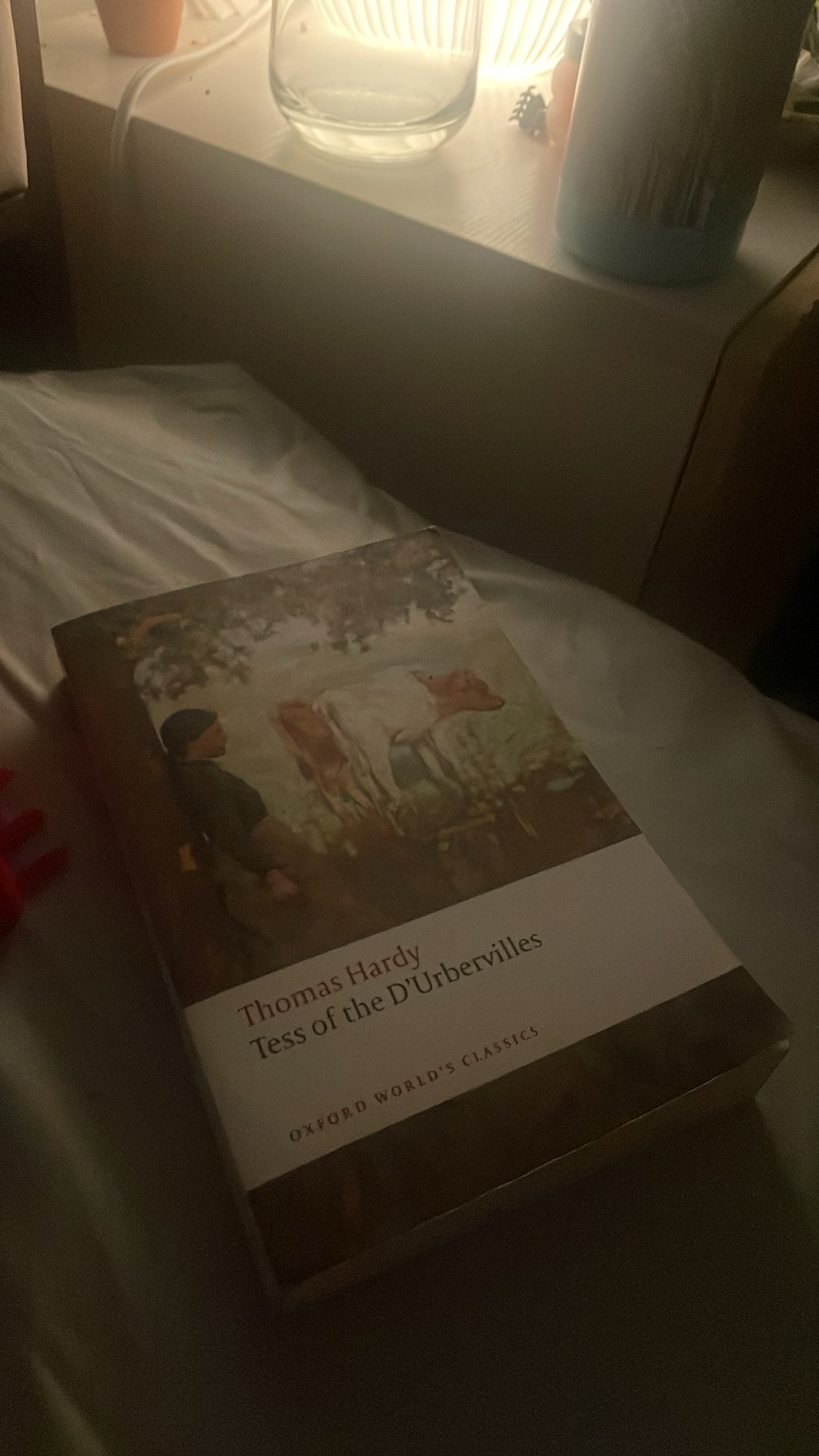 started this in october after picking it up for a second time. i think I tried for the first time maybe when i was in high school. i think because they assigned us another book and i was salty - still i never finished it. Not the biggest fan. at some point during thanksgiving i lost the book (and was grateful for it). now 10 months later i found it again. to avoid picking it up for a 3rd time i fear i have to finish it this weekend before i forget even more of this plot. even now i only remember them milking cows and yearning pathetically between some udders. but really want to get a roll on GERMAN SUMMER