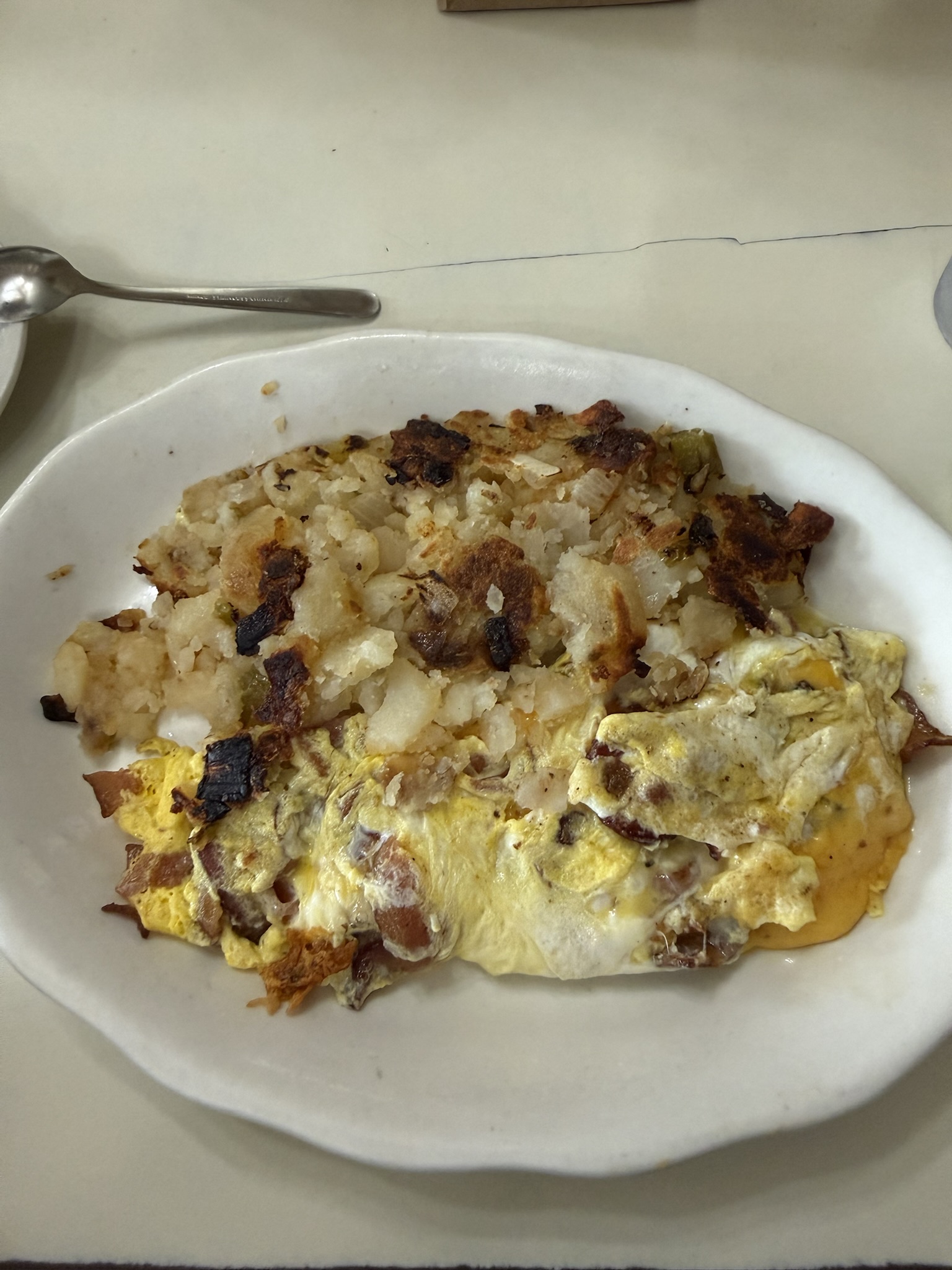 i gott an omelette and i asked for one slice of cheese but i got two instead so it was a little much. nevertheless pretty yummy