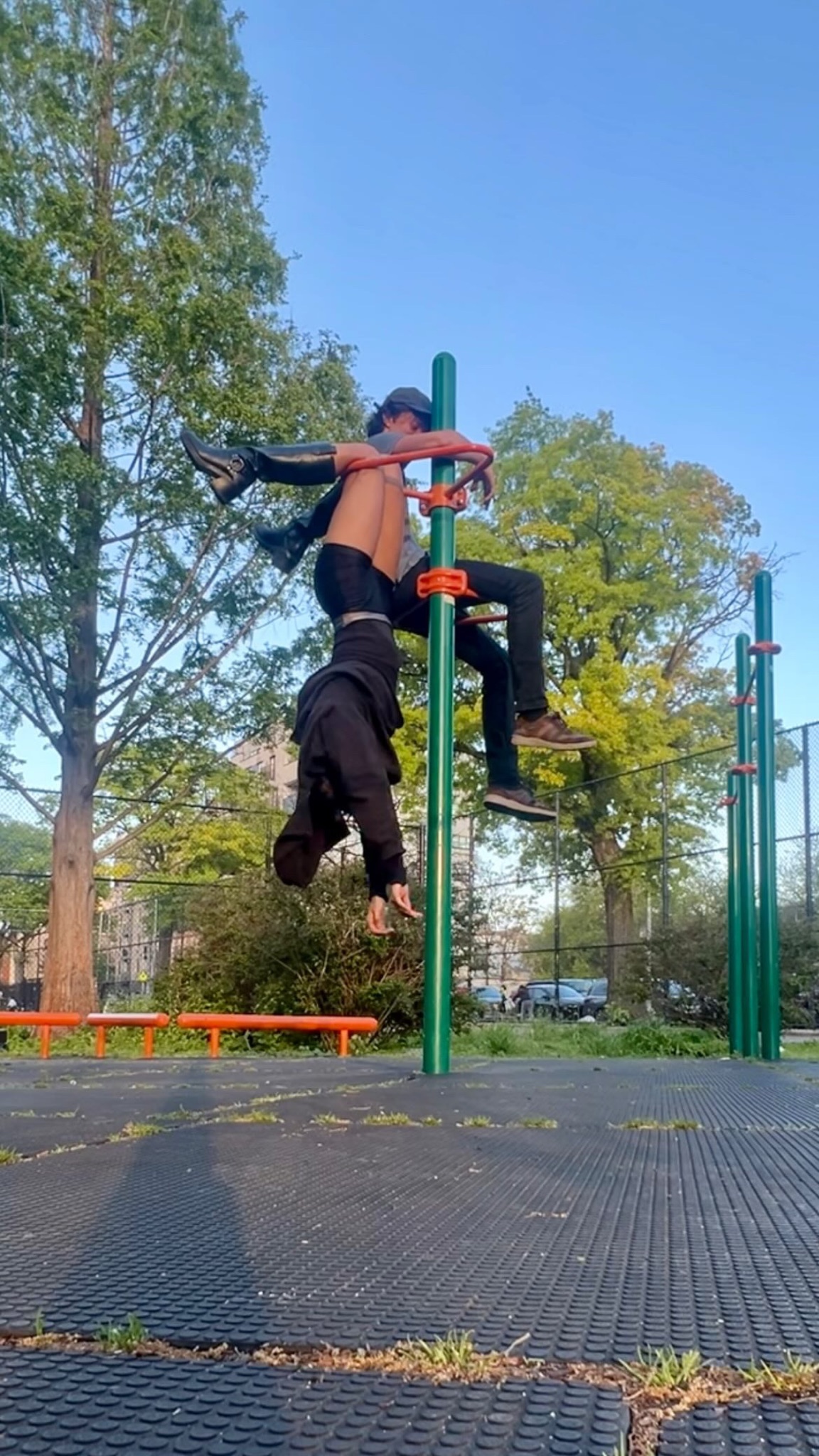 brooklyn wildlife