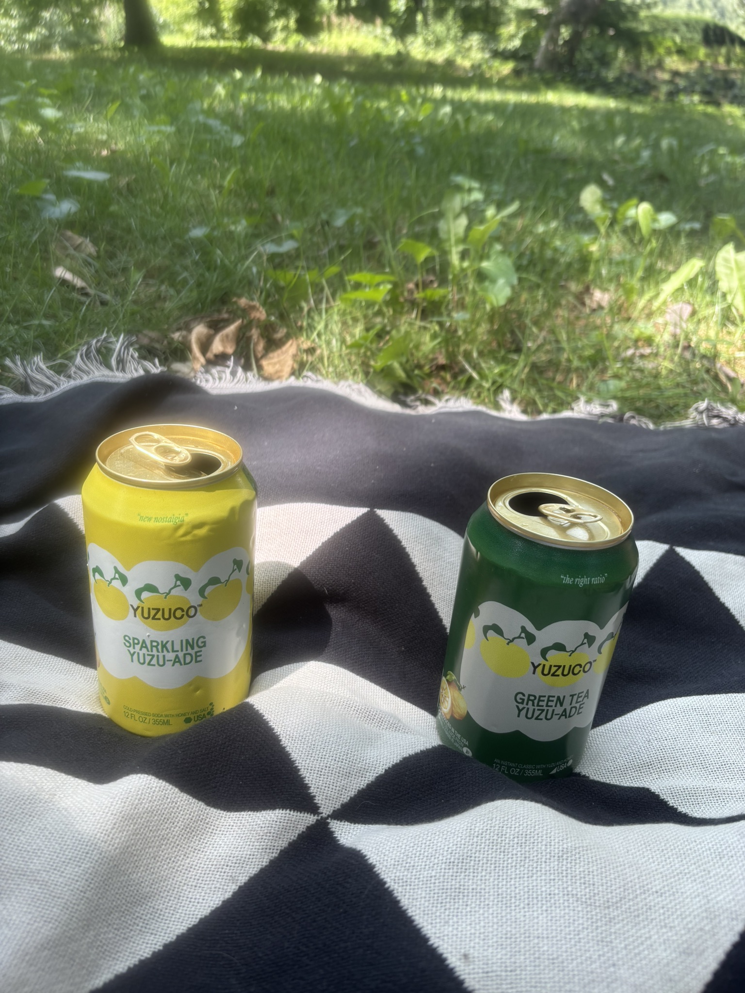 Picnic @ the BBG