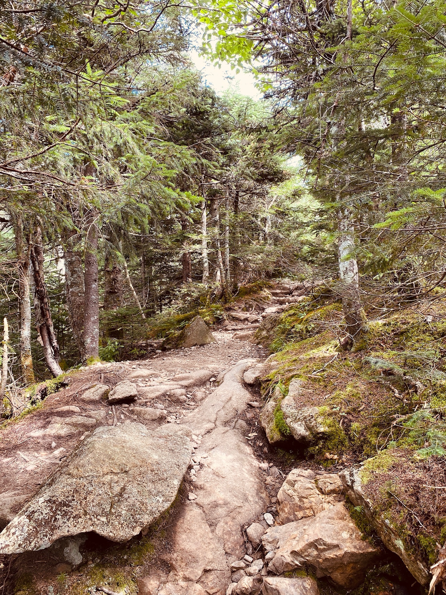 new hampshire core