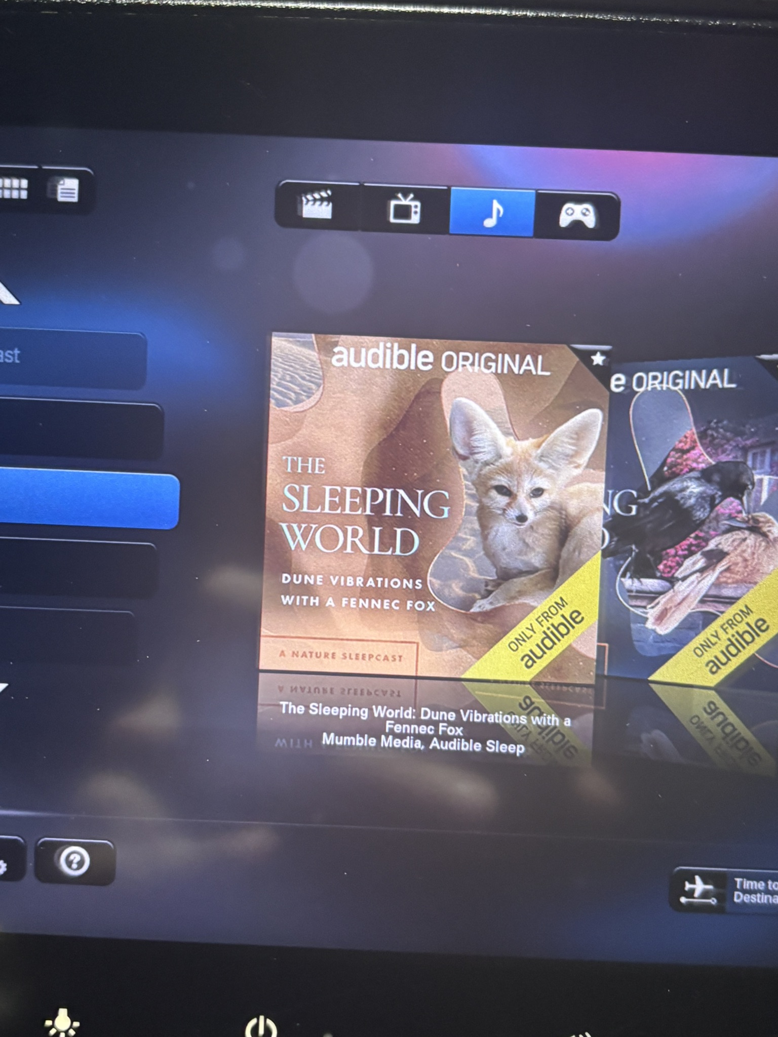 travel essentials