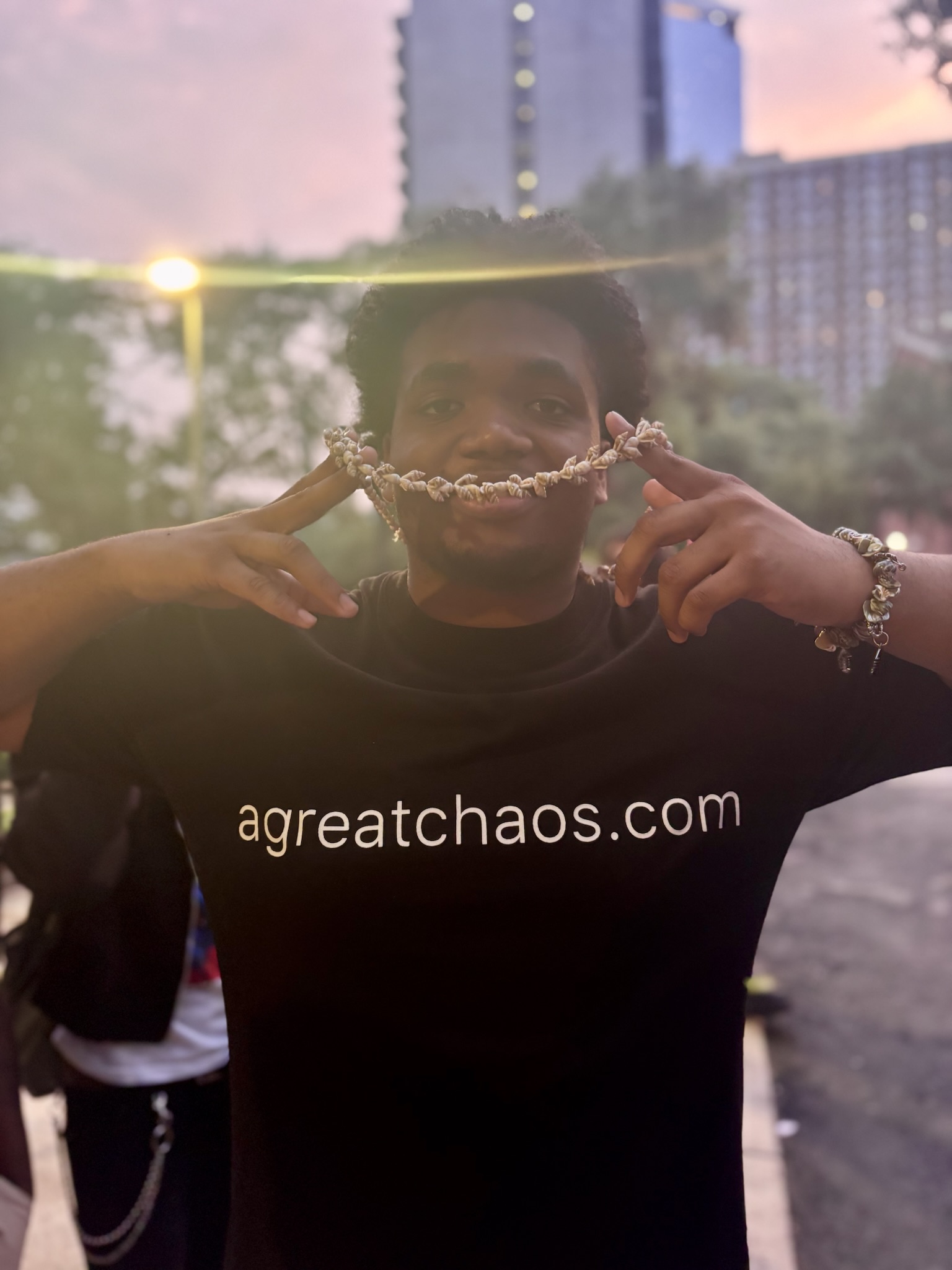 http://www.agreatchaos.com