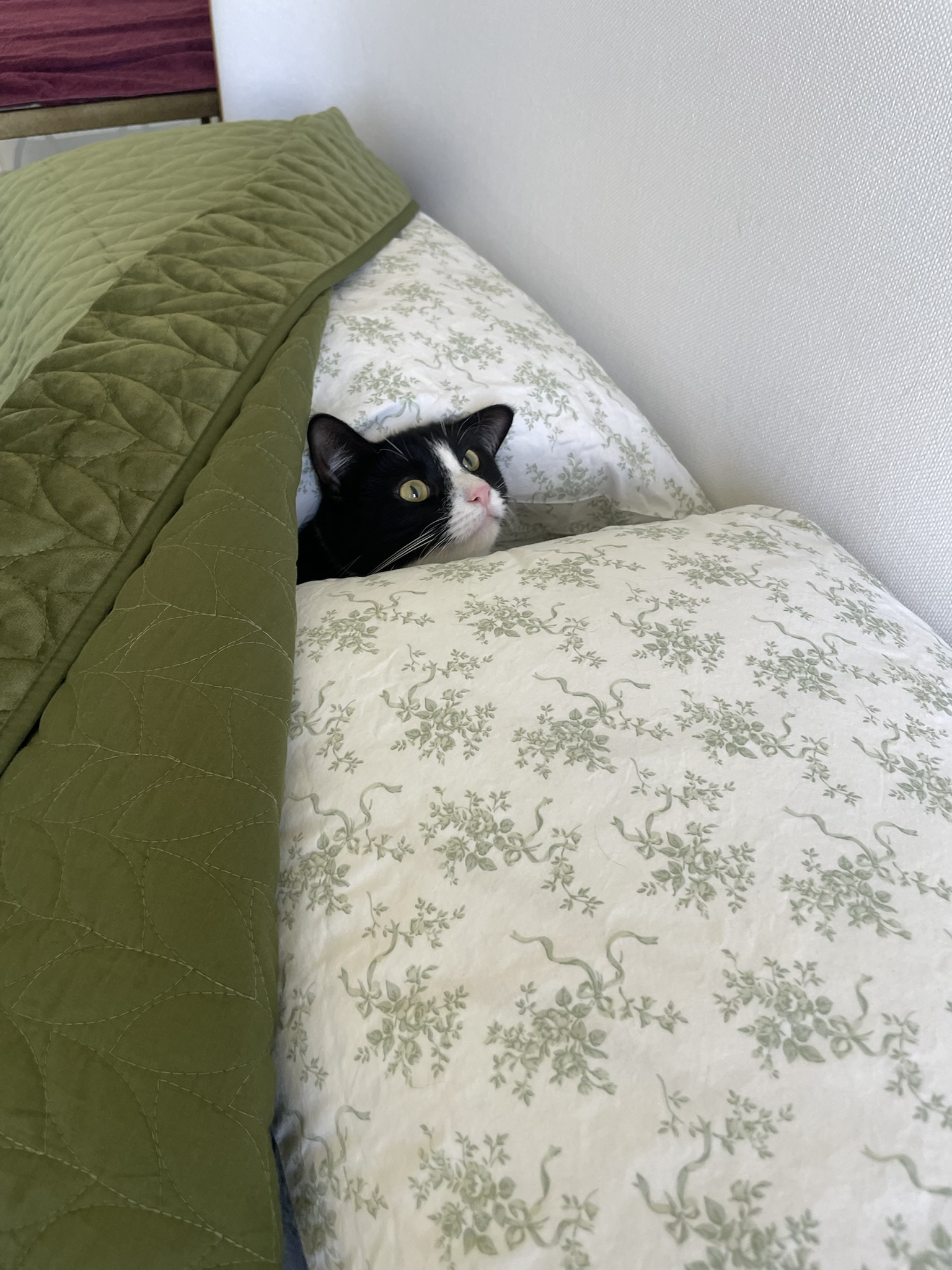 linus
