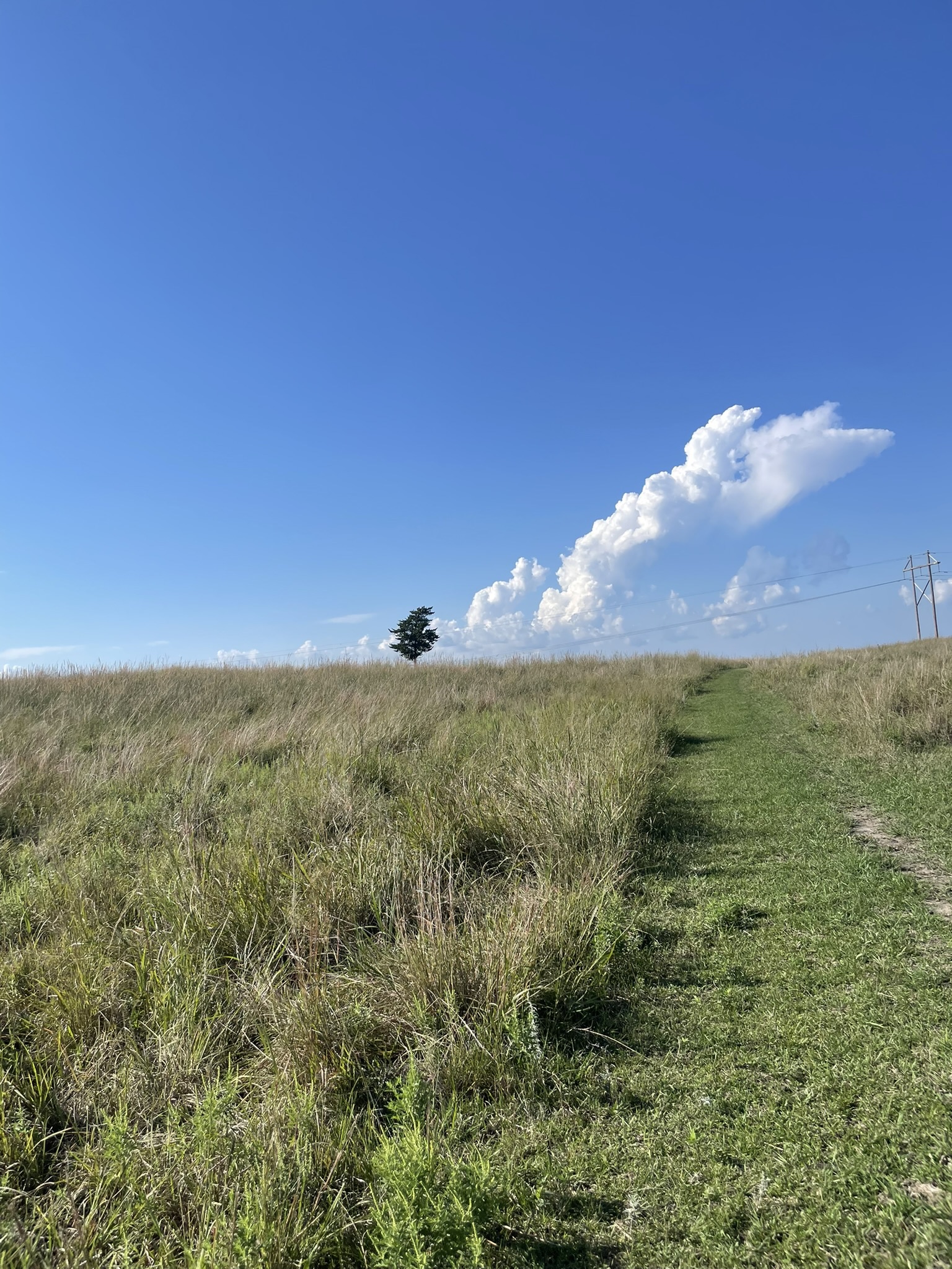 went to a prairie