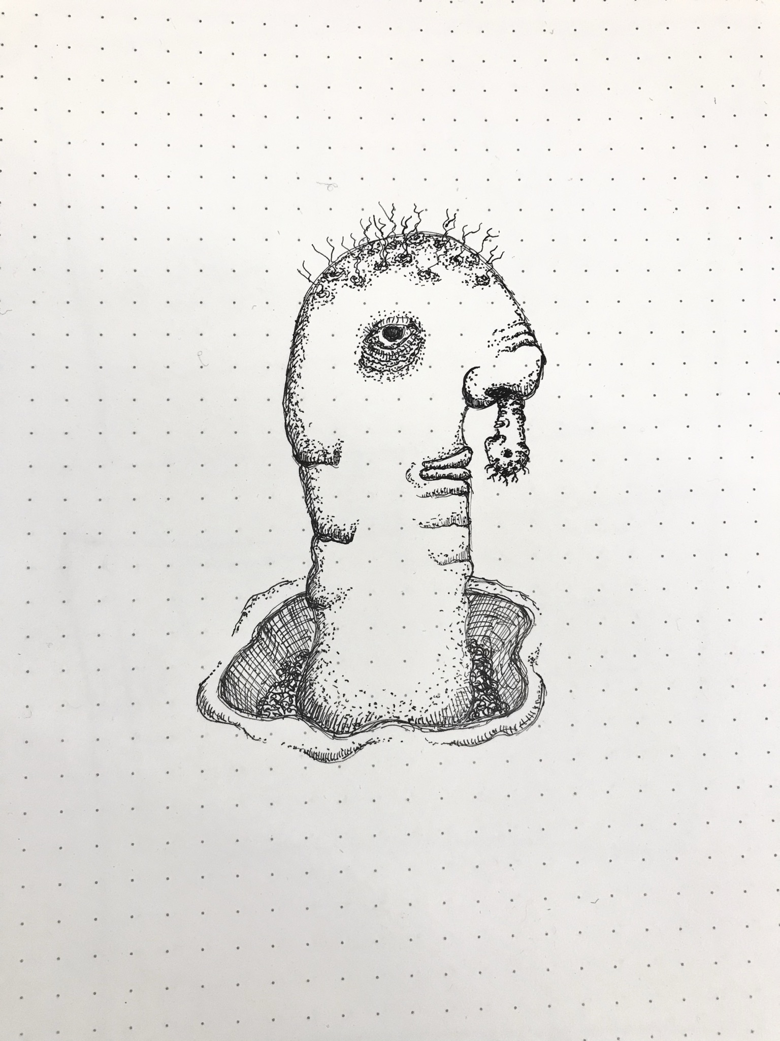 tuesday