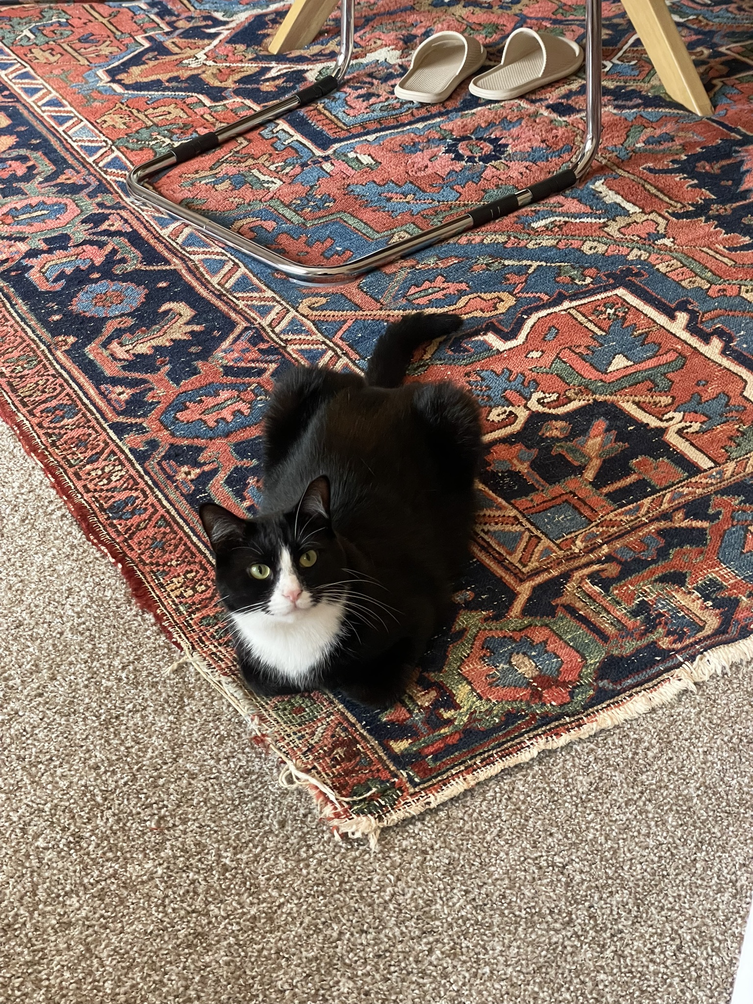 he’s watching me eat an apple.