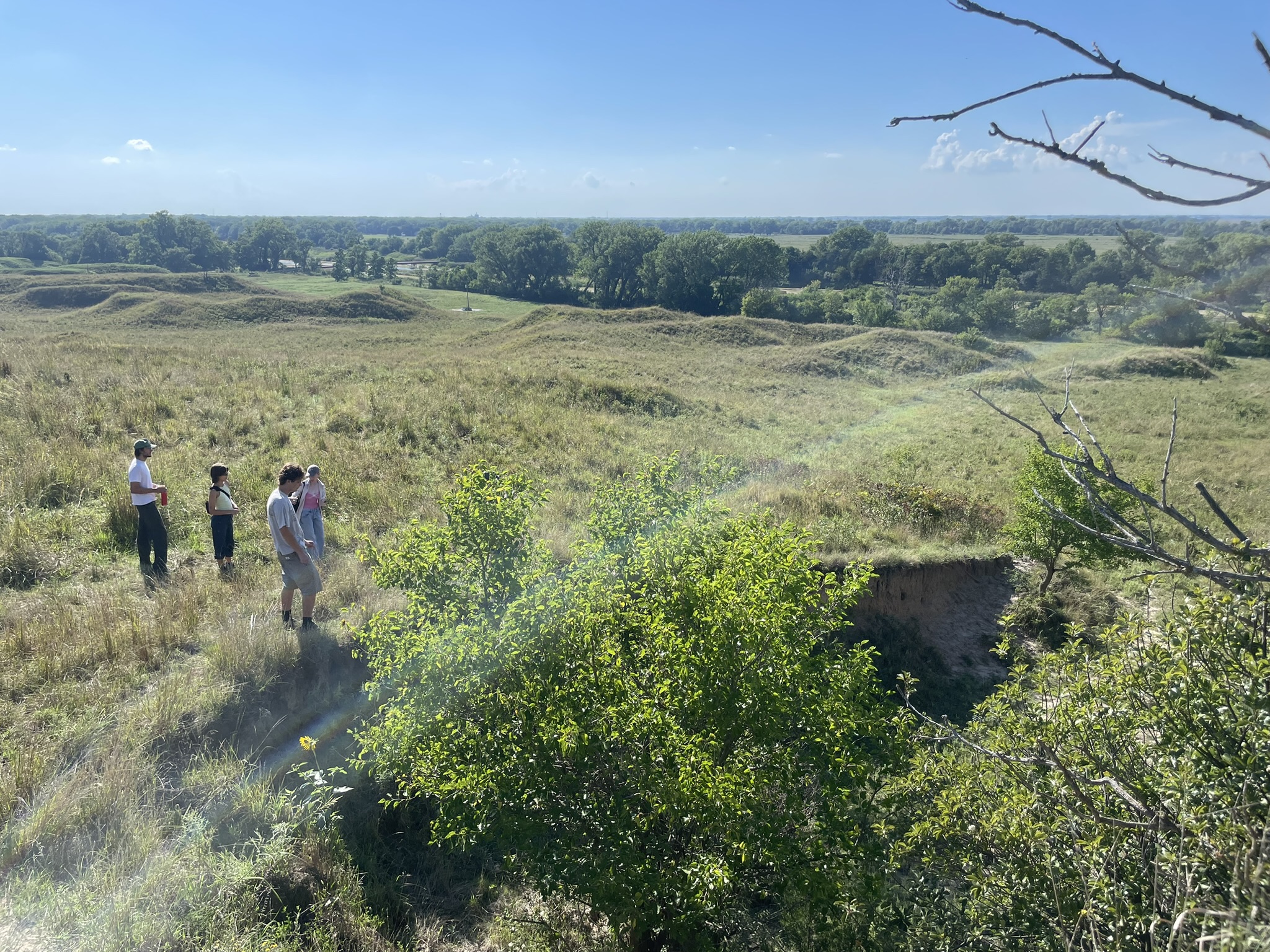 plasma, prairie