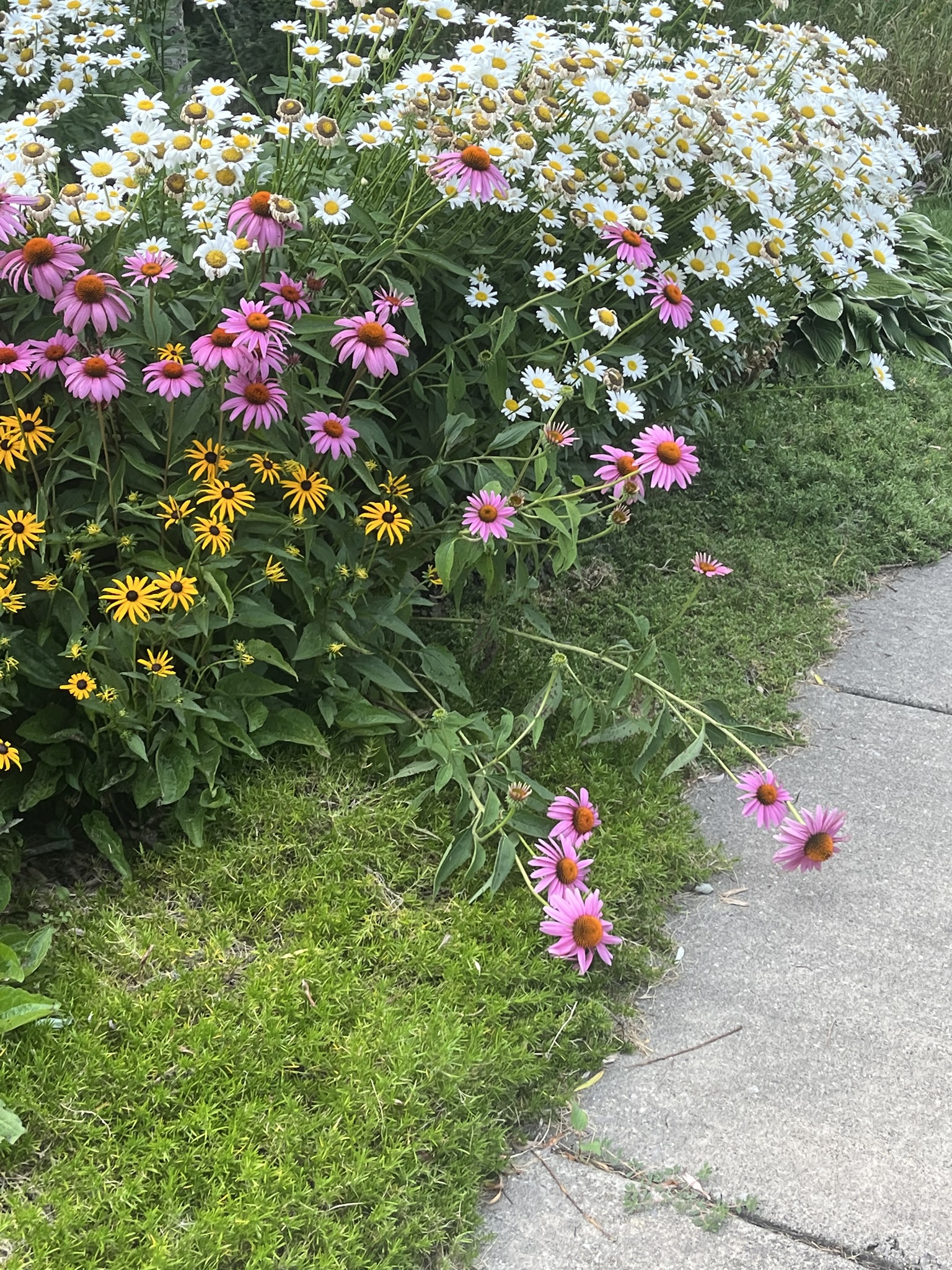 strolling