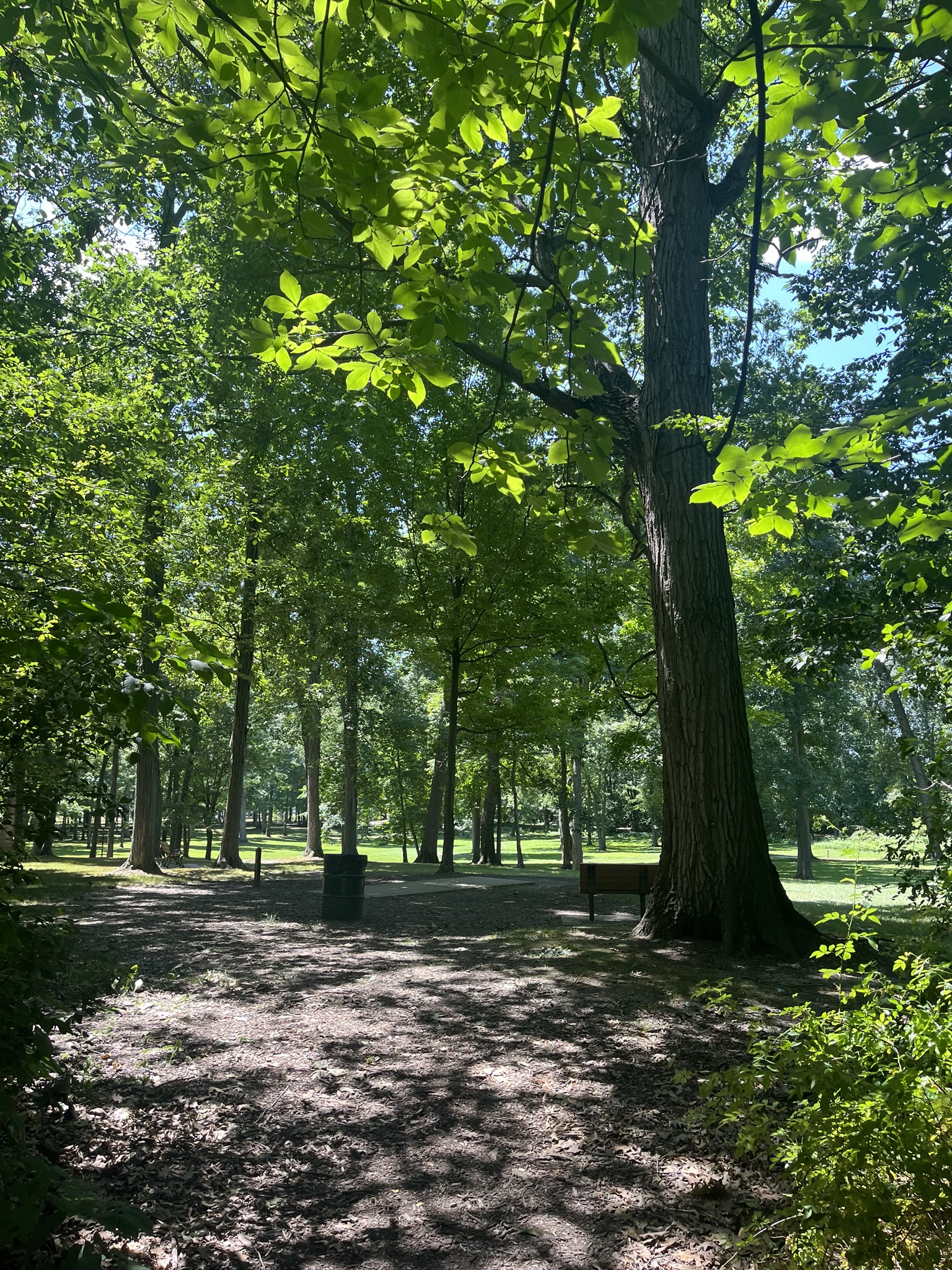 view while having a crisis (ii)